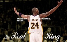 齐发国际在线娱乐-沙尔克再胜一仗，步步紧逼联赛前列，沙尔克近况