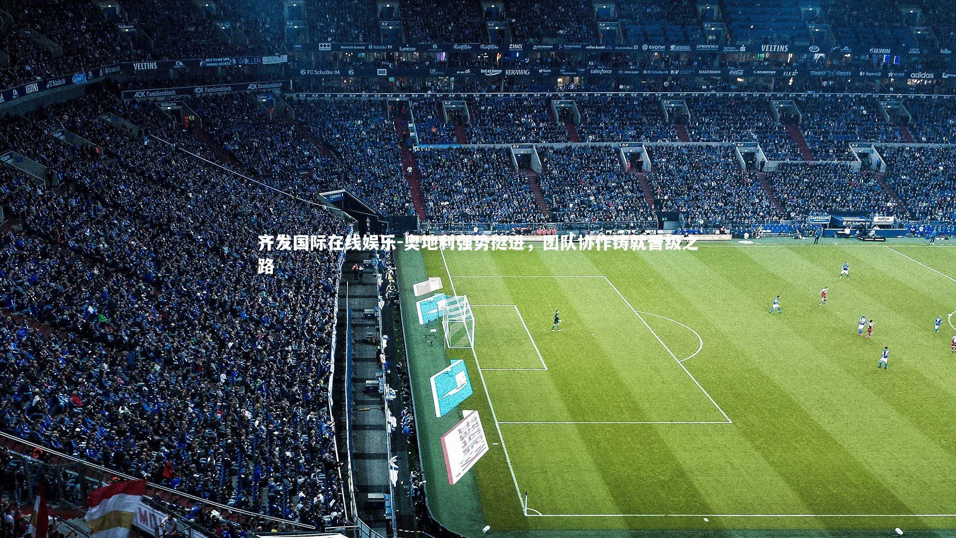 奥地利强势挺进，团队协作铸就晋级之路